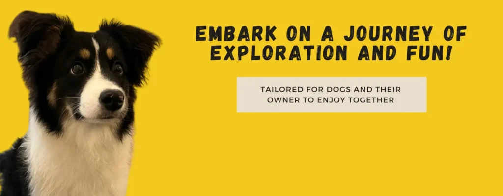 Joon Dog Tours Home Page Banner