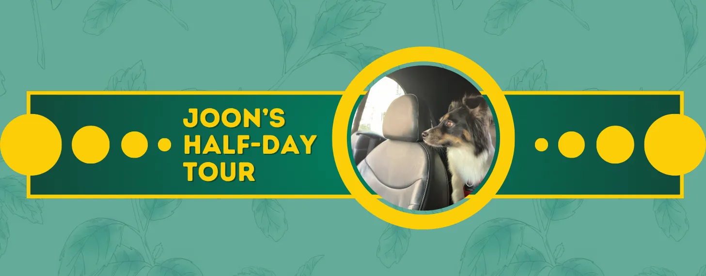half day tour banner