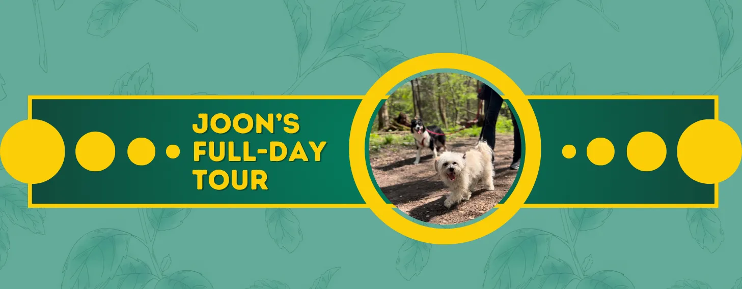 Joon's Full-Day Tour