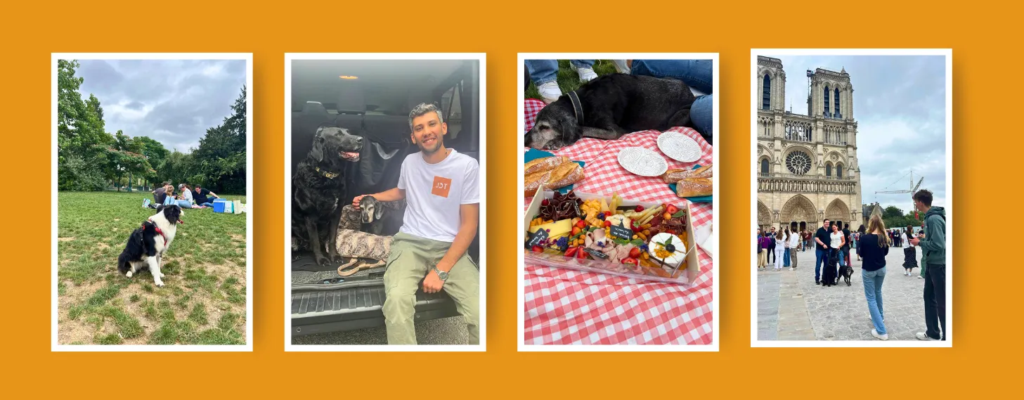 Private-Dog-Friendly-Tour-Banner