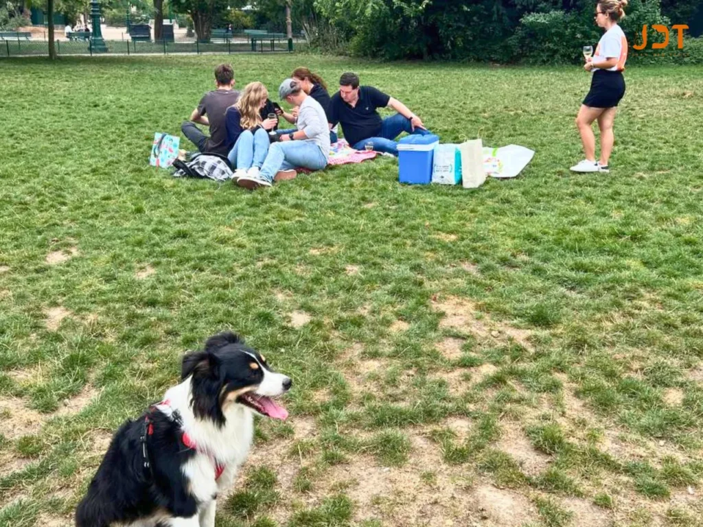 Private-Tour-with-Your-Dog-14