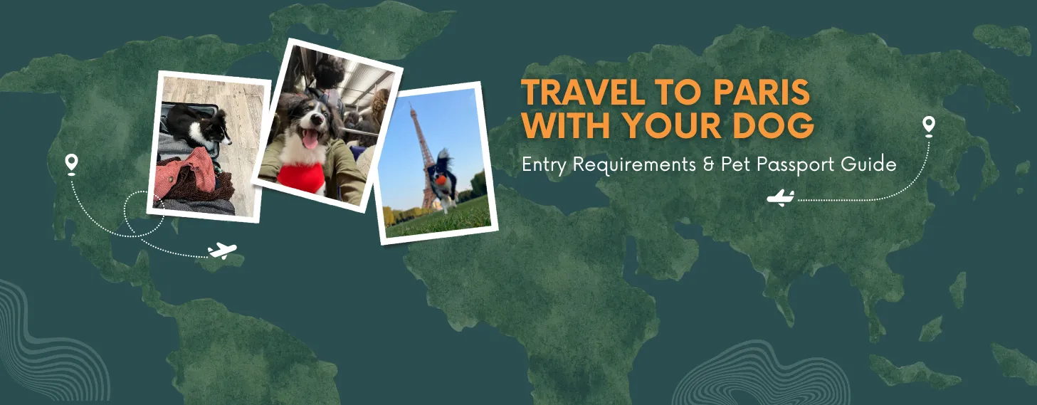 travel to France with dog