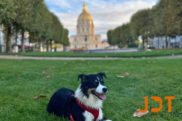 Hidden spot for dogs owner and also dog lover in Paris