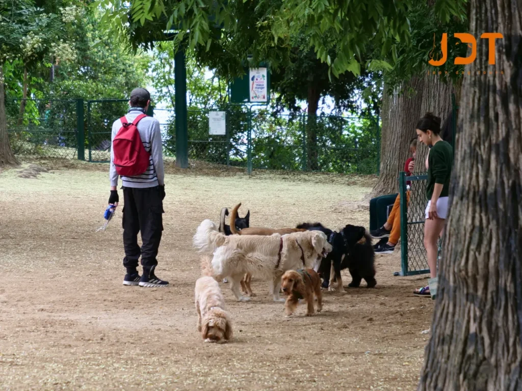 canine space Montmartre