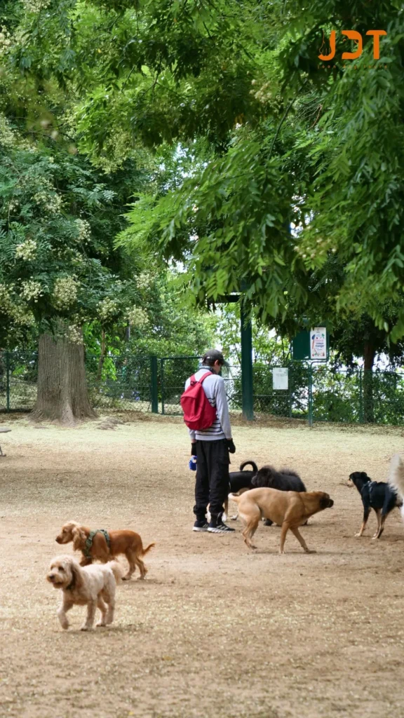 canine space Montmartre