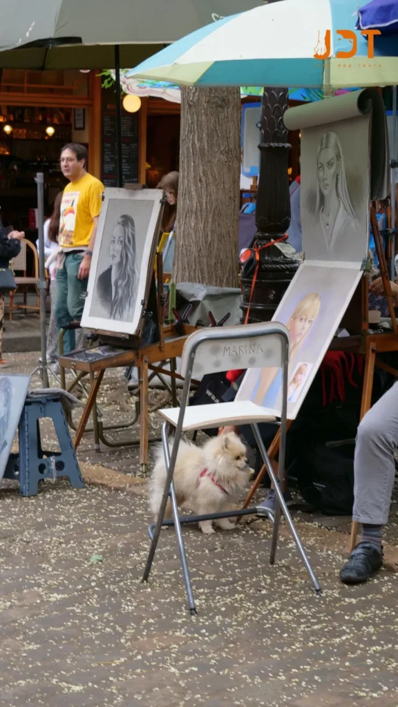 Montmartre and dogs