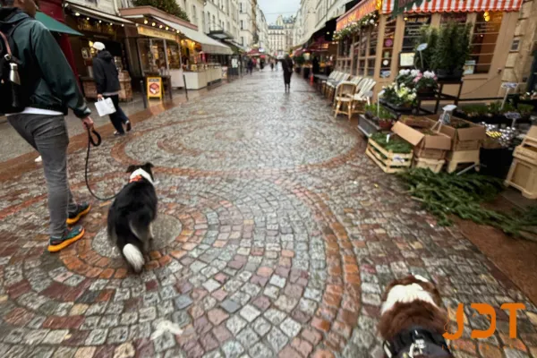 A dog friendly street in Paris for eating and shopping