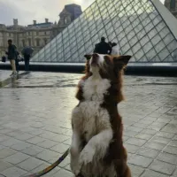 Gaia CM for Walking Tour With Joon