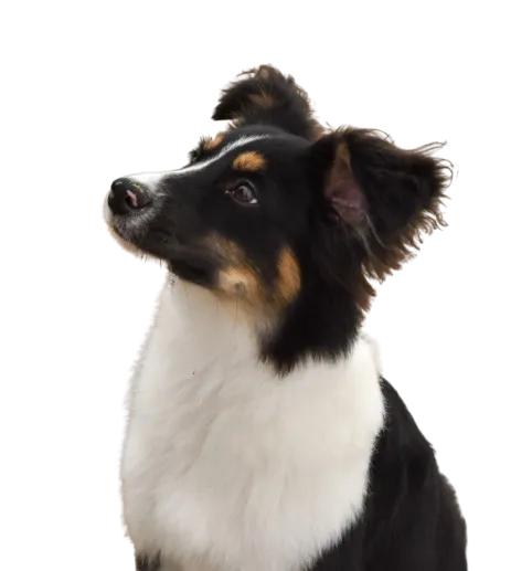 Joon home page banner image