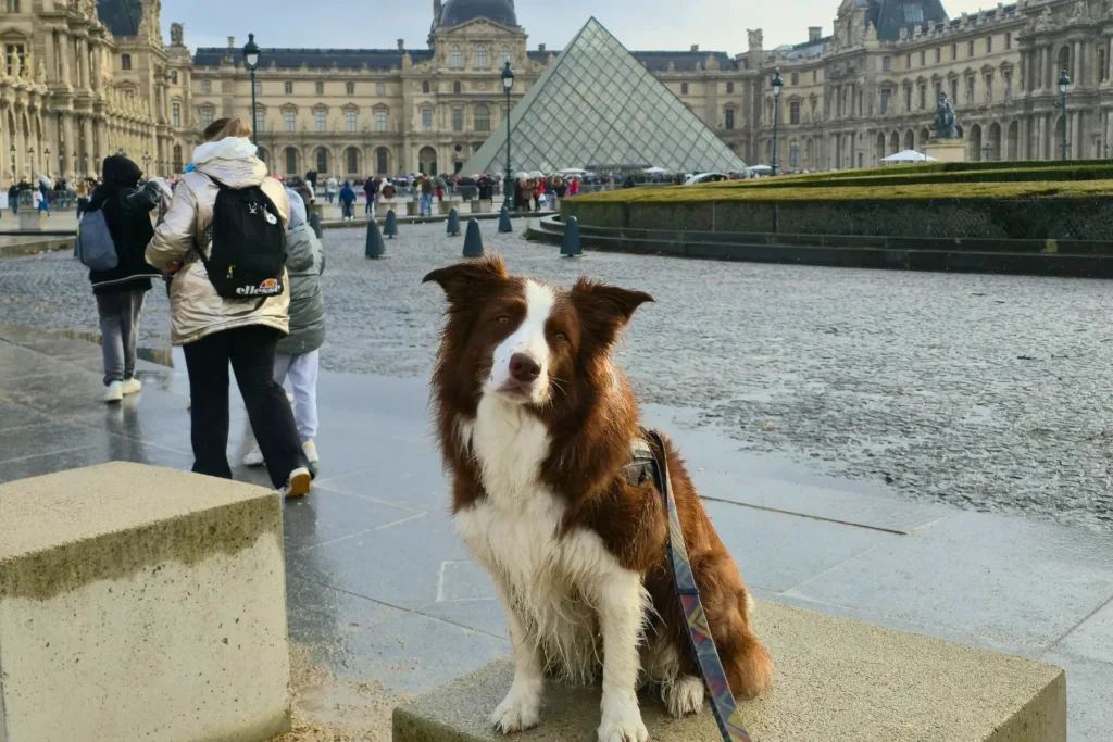 Pyramid of Louvre - walking tour with Joon Dog Tours