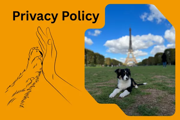 Joon Dog Tours Privacy Policy page