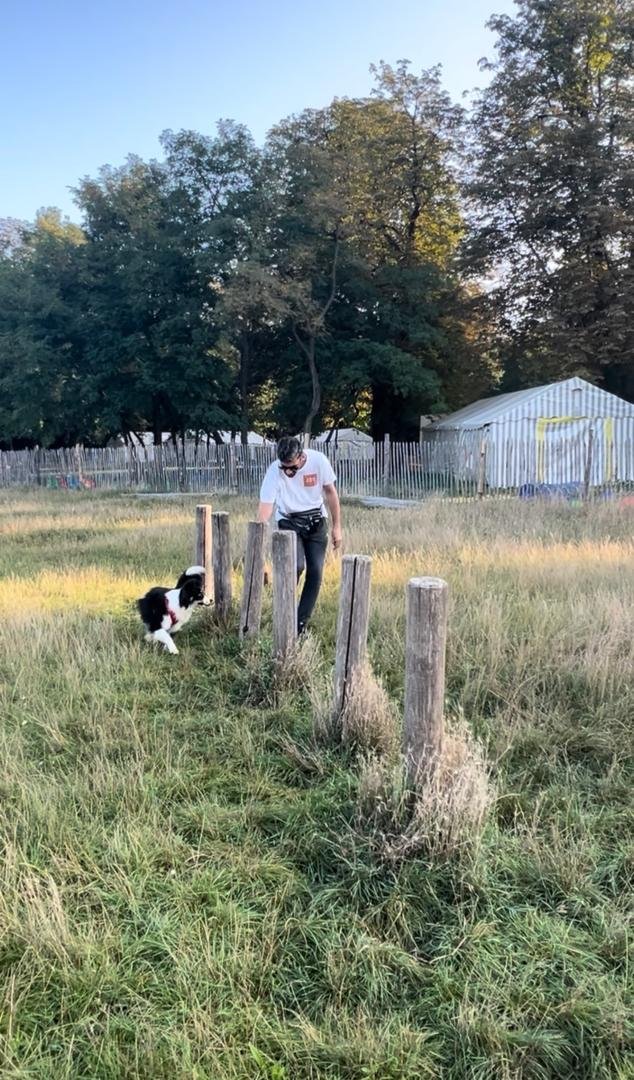 Recall and agility training with a dog in Bois de Boulogne